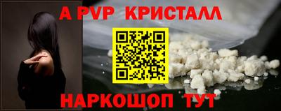 гидра Кингисепп