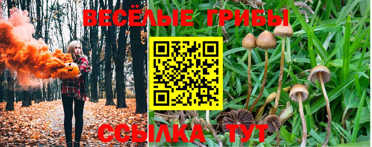 Галлюциногенные грибы Psilocybine cubensis  Вход с VPN  цены наркотик  Биробиджан 